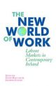 The New World of Work: Labour Markets in Contemporary Ireland
