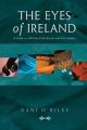 The Eyes of Ireland: A Guide to Fine Craft Artists and Their Studios